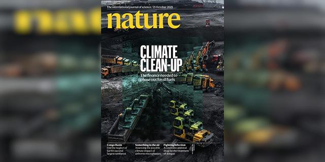 今日Nature双发：聚焦抗癌饮食和肠神经胶质细胞