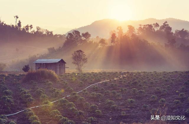 一枕花香到天亮，四时目明随梦来