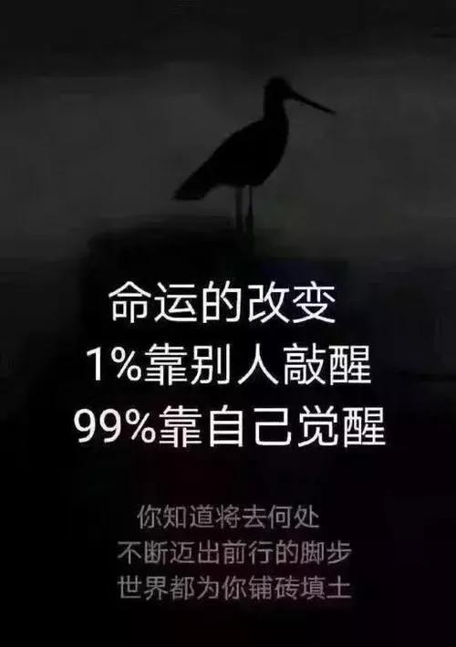 买车还是创业，房子，车子，结婚，创业，25到30之间应该选择哪一个