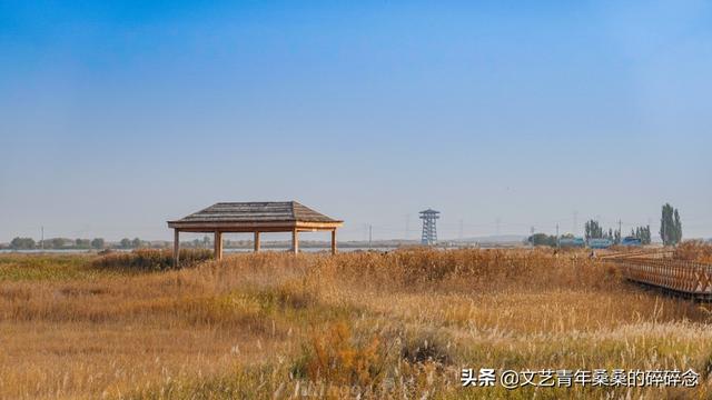 张掖过滤机