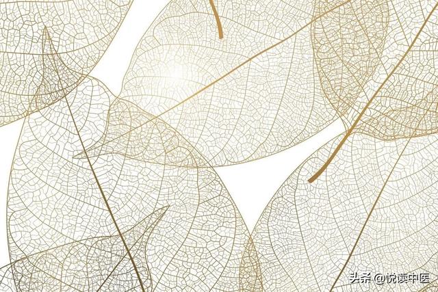 暴露体质虚弱的脉象