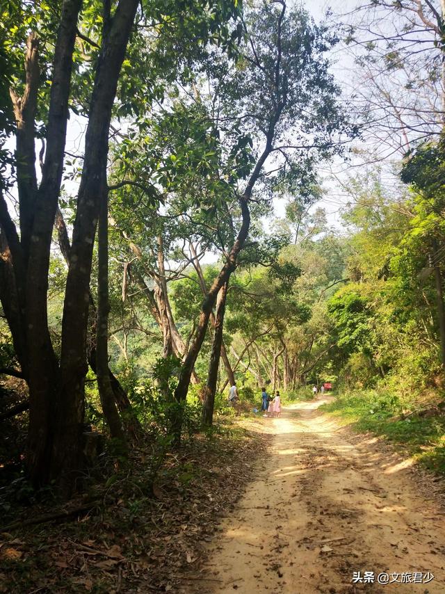 大岭山马山仙境