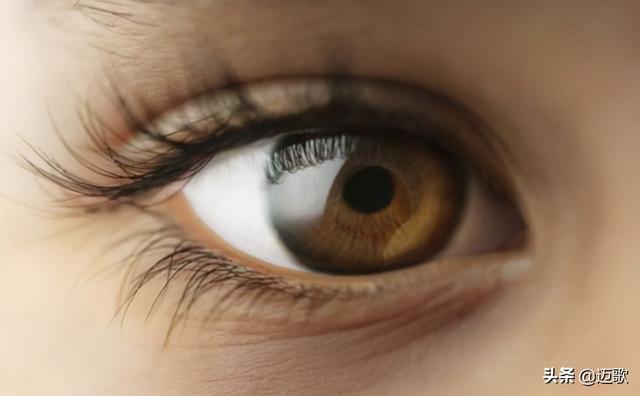 双11马上来了，各平台已经开始预售，哪些手机值得买？