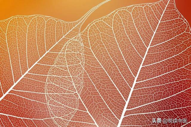 暴露体质虚弱的脉象