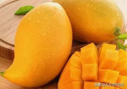 普洱单缸圆锥破碎机哪家价格便宜
