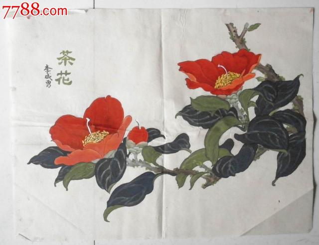 山茶花 山茶花（山茶花的花语） 生活