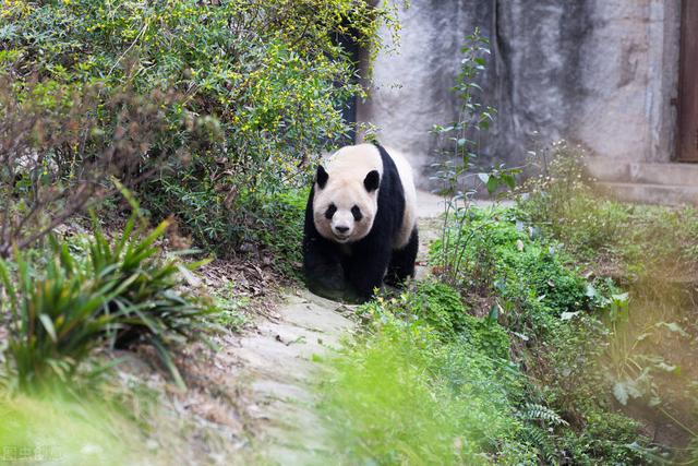 国家级风景名胜区名单