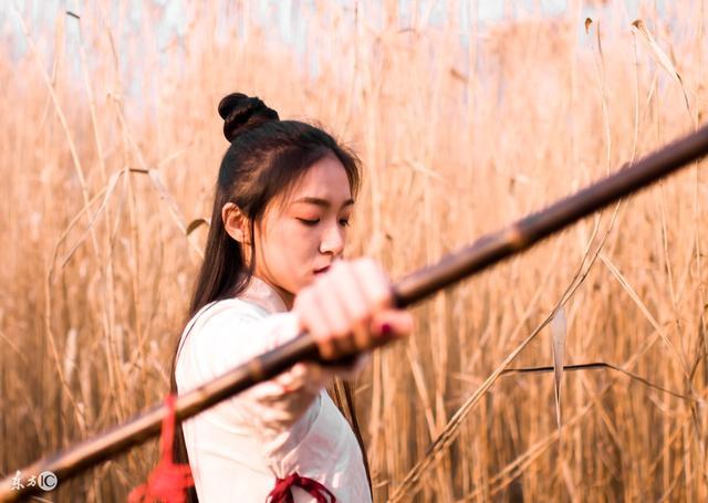 君临txt完本下载八零（叶君临李子染小说txt）