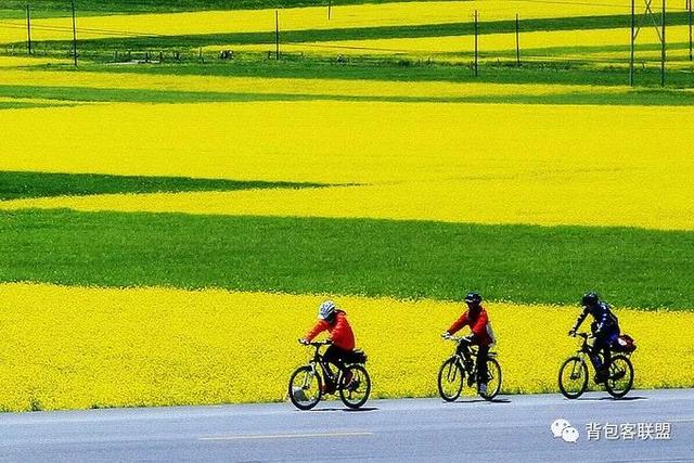 7月份适合去哪里旅游国内