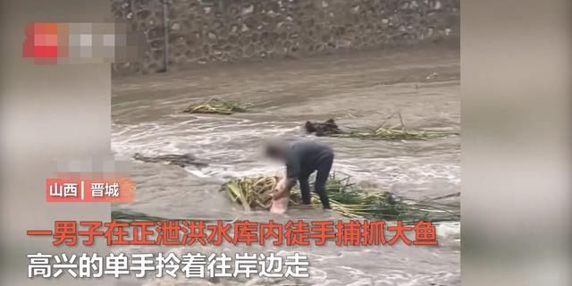 水庫泄洪 山西一男子下河徒手抓近30斤大魚 知情者 本地人才敢下 Kks資訊網