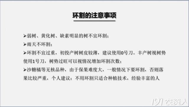 春夏柑橘常见病虫害及防治方案11