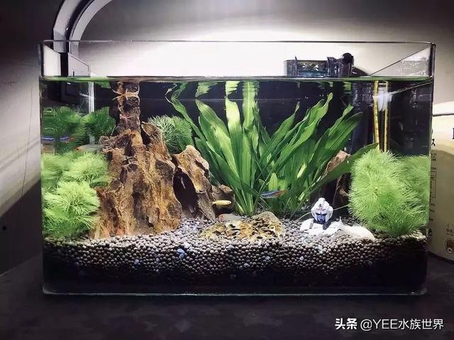 家用微型水过滤机