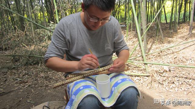 蜂王浆什么味道