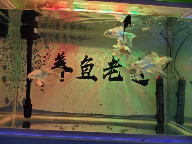吸氧气的过滤机