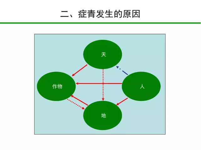 大豆症青——黄淮海夏大豆生产的“癌症”？“罪魁祸首”是它！8