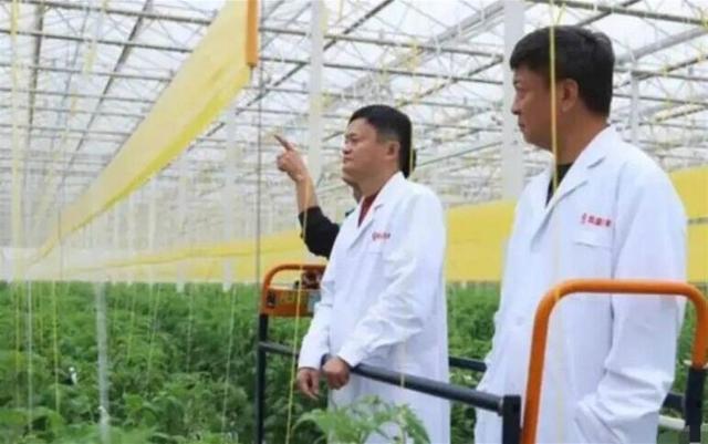 套现失败后，潘石屹夫妇高调现身美国看球，释放了什么信号？