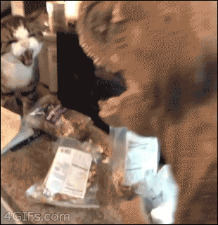 搞笑的GIF动态图：笑到窒息哈哈哈！