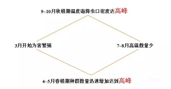 柑橘红蜘蛛终极防治手册，附防治药剂推荐！5