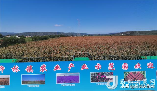 1255发展战略的五大工程是