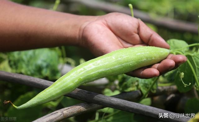 盘点最奇特的11种野菜 你认识几种 最后一种像蛇一样 今日热点