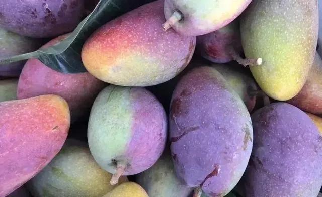 关于芒果的小秘密，我只偷偷告诉你哦