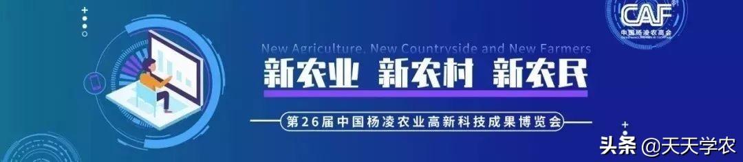 第26届杨凌农高会农业机械展