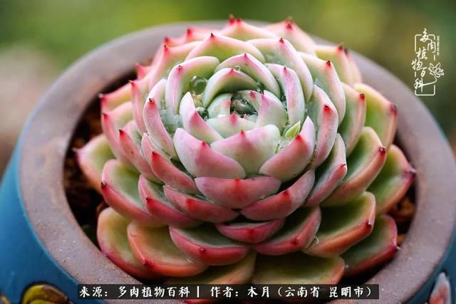 安康石英砂洗砂机厂家电话