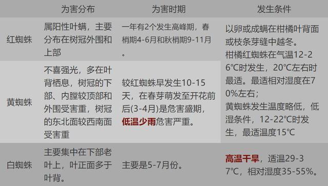 红蜘蛛、黄蜘蛛与白蜘蛛有何不同？该如何防治？这里有方法4