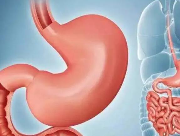 吃小米粥可以缓解胃酸吗？建议：想要养护胃病，2种肉类尽量少吃