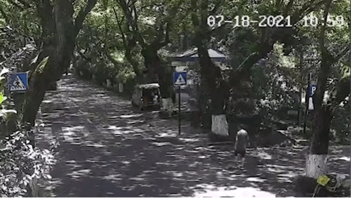 电驴是什么