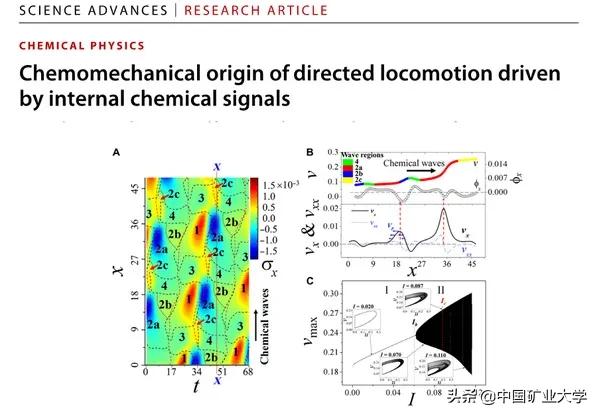 徐州工程机械展郝纯纯