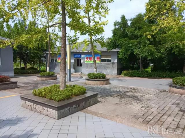 重庆一对闺蜜在公厕遇害，案发地离家不到700米！警方：感情纠纷，嫌疑人被刑拘
