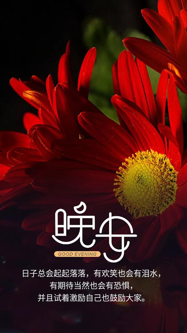 晚安心语190630：你是我明目张胆的偏袒，是我众所周知的私心