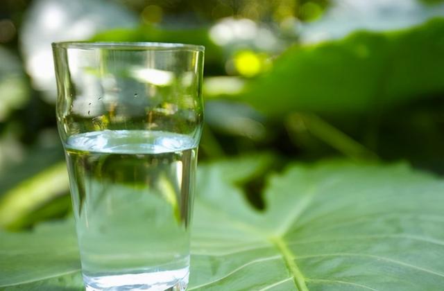 健康“养生表”，助胃健康