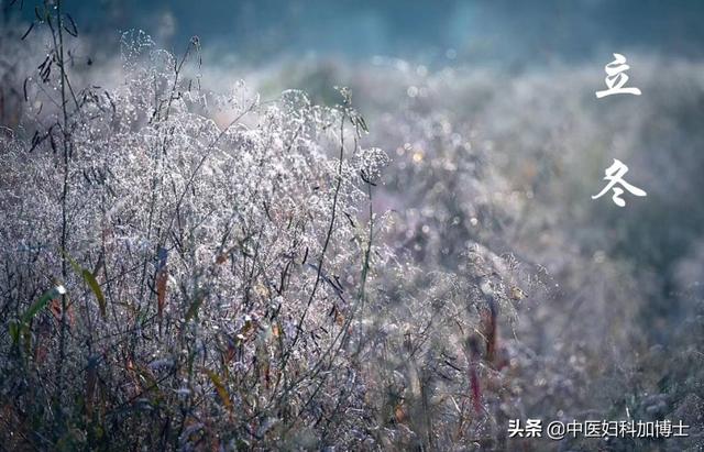 冬季别错过这4大“养阴高手”，健脾胃清肺热，好处吃过的人都懂