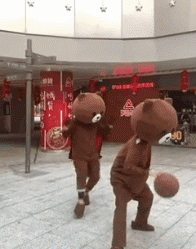 爆笑的动图GIF:你们这样玩,考虑过狗狗的感受吗