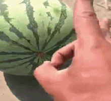爆笑的动图GIF：让你天天玩我，我一口水喷死你