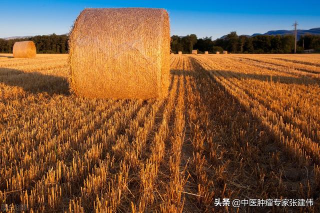 秋季干燥容易上火怎么辦？飲食調理敗火去燥，試試這幾種食物