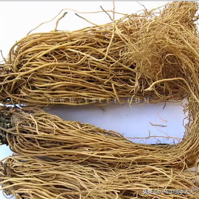 手脚冰凉，生冻疮，怕风怕冷，浑身窜着疼？7味中药帮你解除痛苦