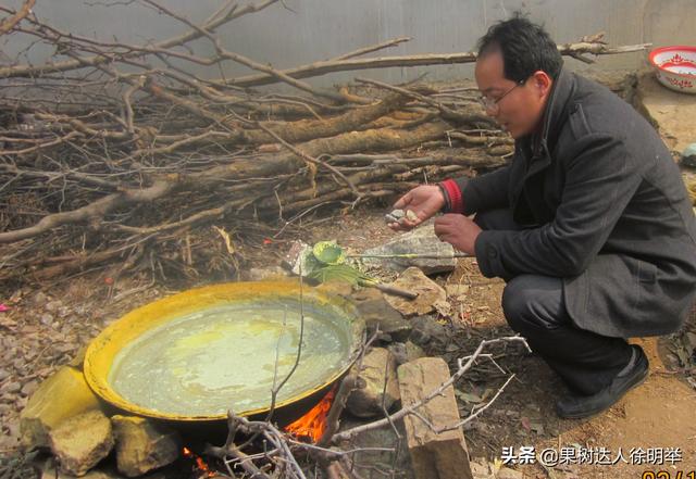 石硫合剂的科学熬制和使用，现在正是做这项工作时候9