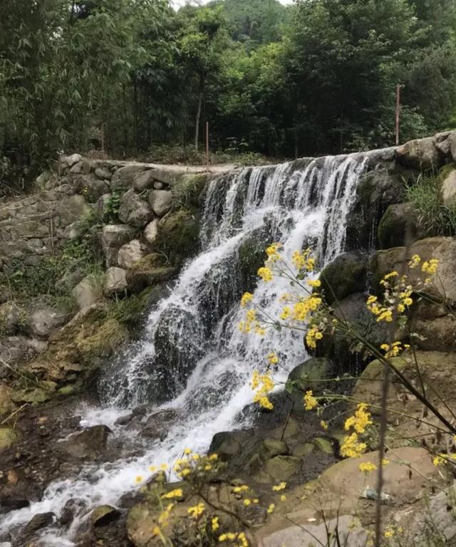 乐山石子洗砂机厂家