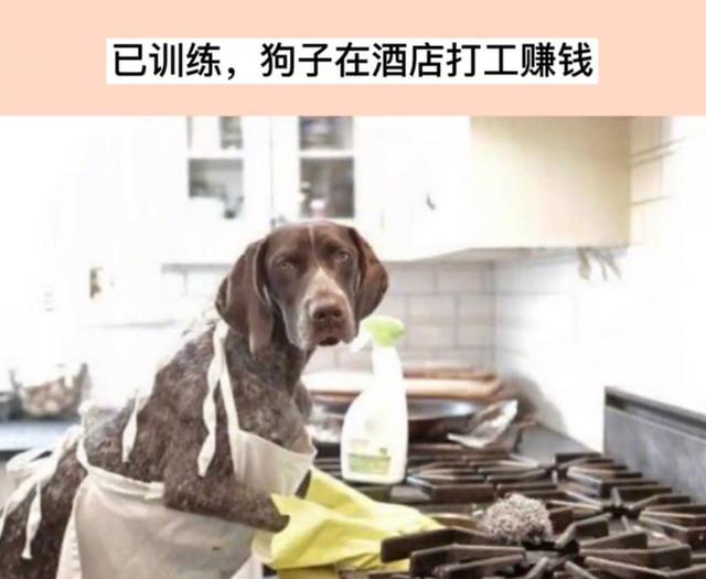 如何照顾好宝宝？分享几个照顾宝宝的正确方式，一起来涨知识