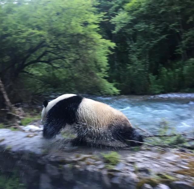 夏季旅游