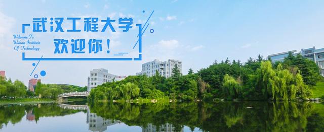 武汉工程大学桂展鹏教学