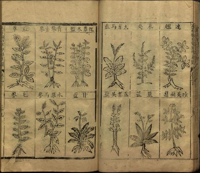 李时珍巨著《本草纲目》插图上卷（1596年刻本）