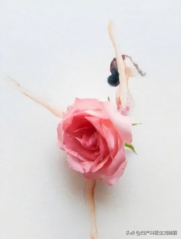 人流后吃什么补身体？