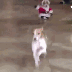 有趣的动态图片gif：只是因为在人群中多看了你一眼