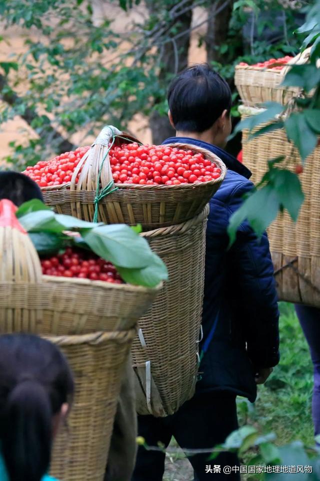 定西洗砂机价格