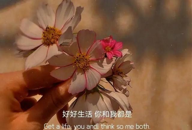 情感文案素材库