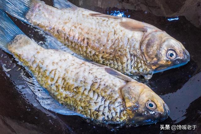 不管炖什么鱼汤，牢记这4点，炖出来的汤奶白香浓味道正，没腥味